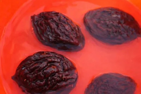 Uva tinta